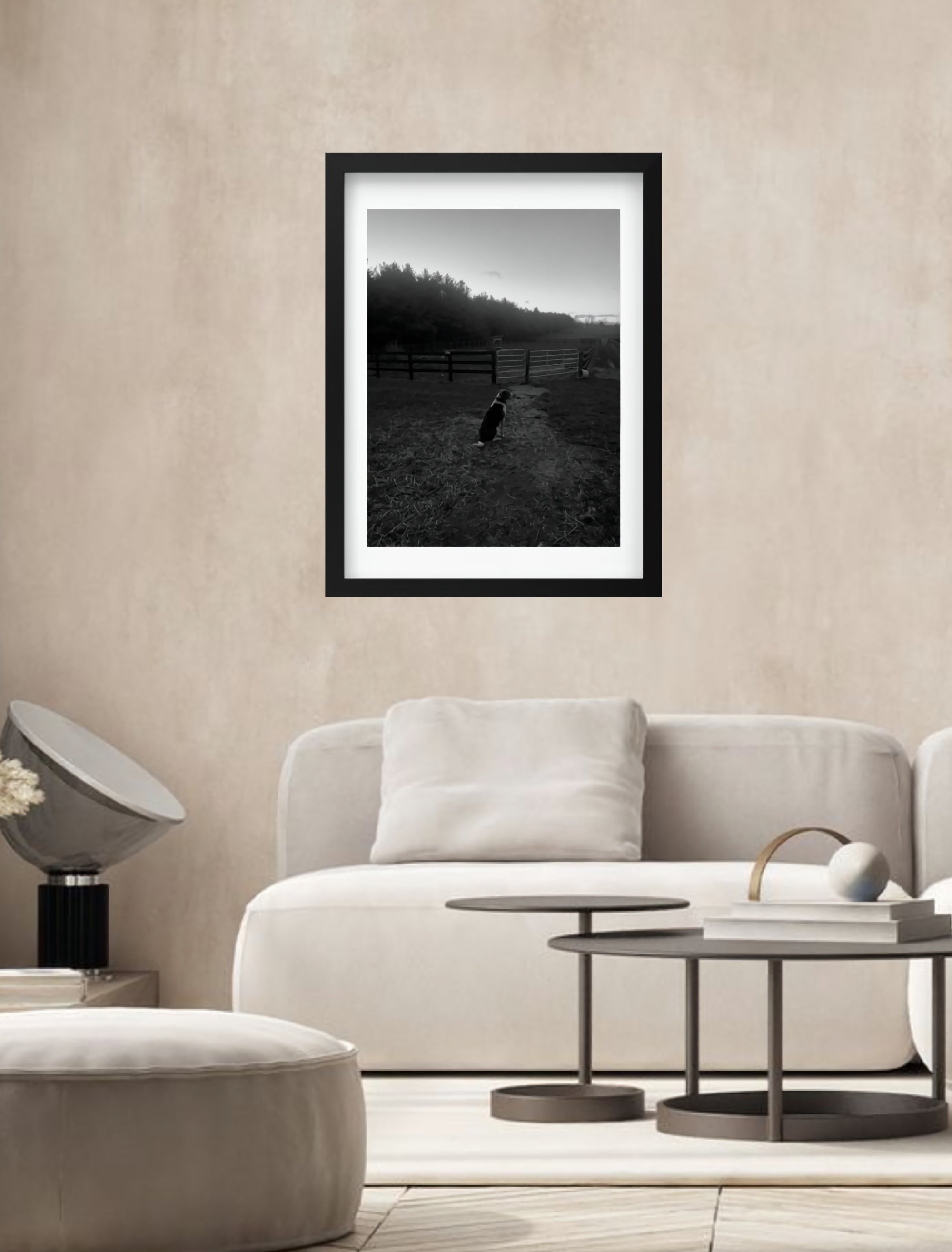 Hound Dog on a Farm Photo