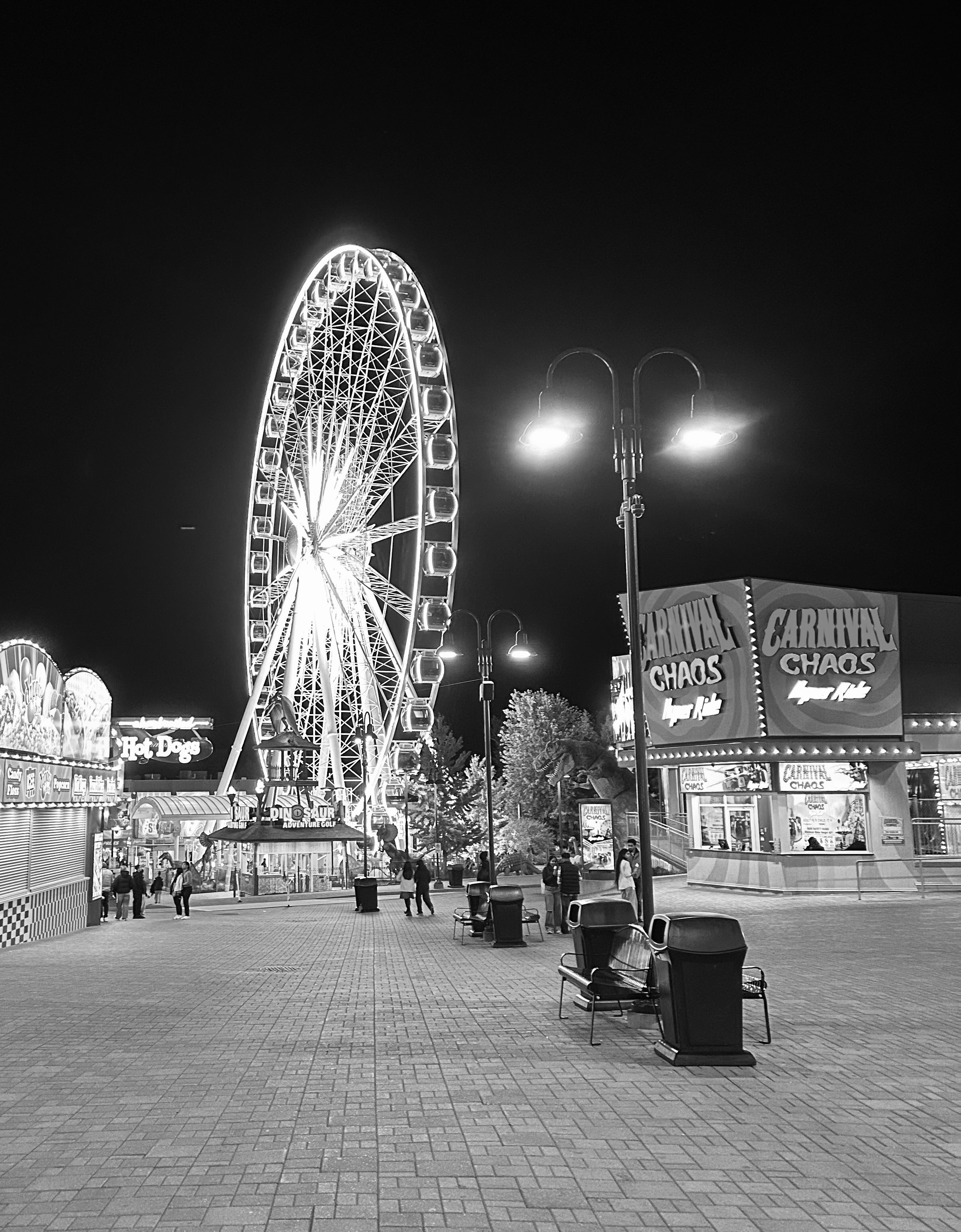 Ferris Wheel at Night Photograph Print