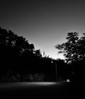 Niagara Street at Night Photograph Print