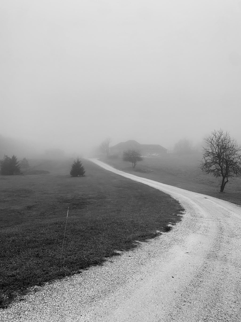 Caledon Road Photograph Print