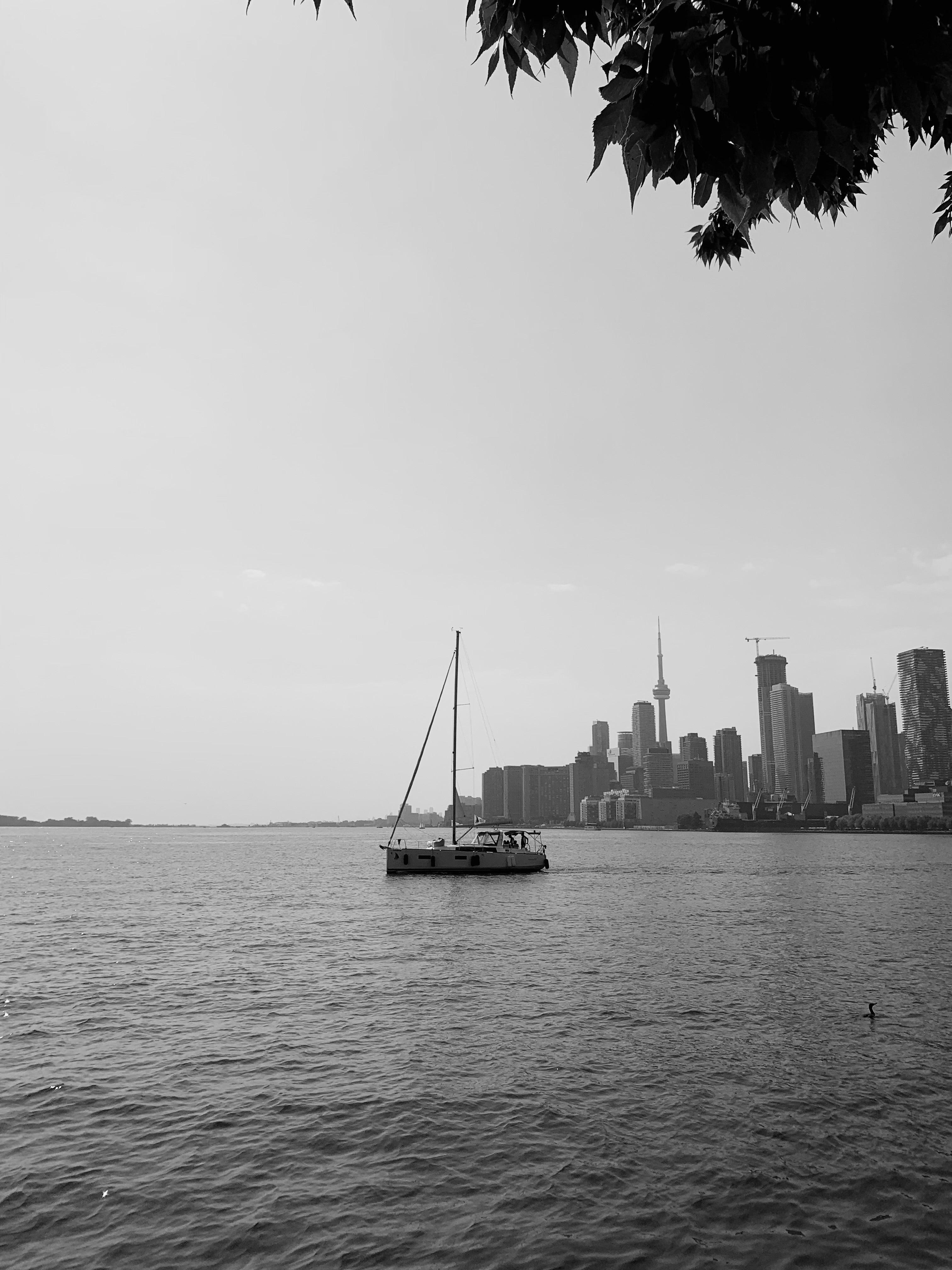Sail Boat with Toronto Skyline Photograph Print