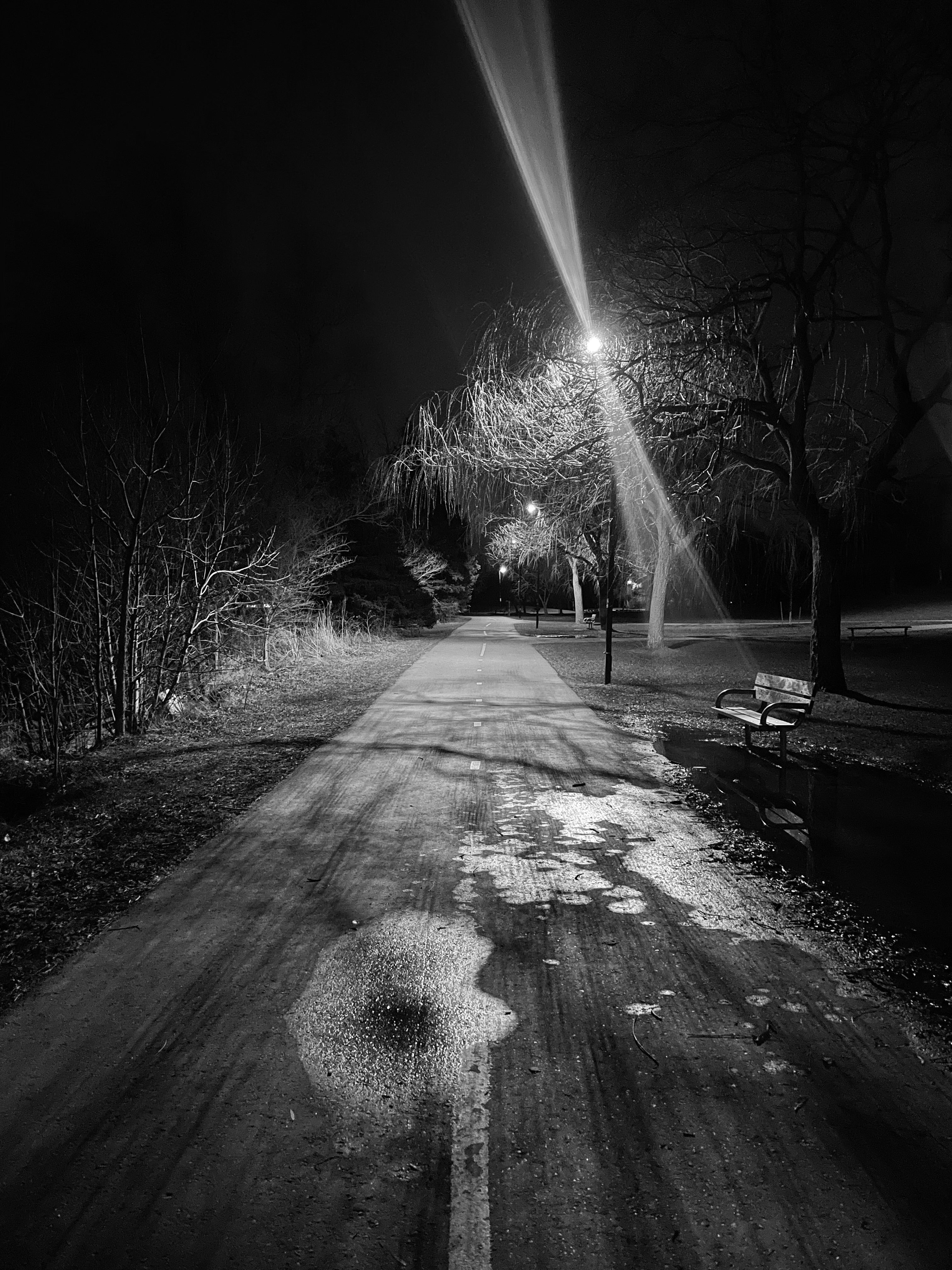 Bluffers Park At Night Photograph Print
